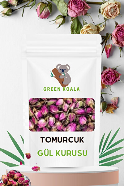 Green Koala Tomurcuk Gül Kurusu 25 gr