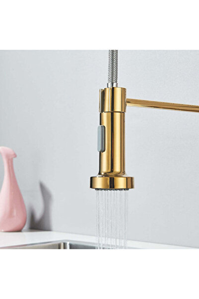 Sanlux Baterie Bucătărie Profesională cu Duș Flexibil, 2 Funcții de Curgere, Finisaj Auriu Lucios, VST67