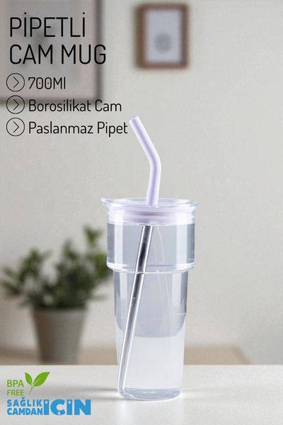 Nandy Home Borosilicate Glass Mug – with Stainless Steel Straw and Cleaner Gift, 700ml.
