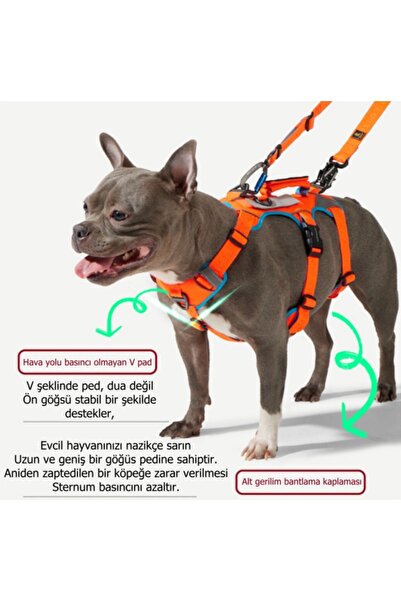 INTERLAKEN Earthtech Slim 3.0 Safra Kesesi Çıkığı Önleyici Köpek Göğüs Tasması