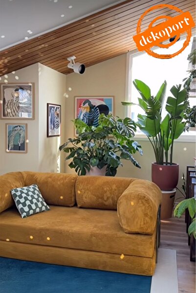 Dekoport Comfort Kanepe Yatak Olabilen Fitilli Kadife Yıkanır Silinir Aktivit...