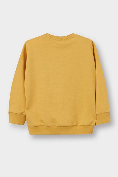 DeFacto Erkek Bebek Bisiklet Yaka Basic Düz Sweatshirt A7343A525AU