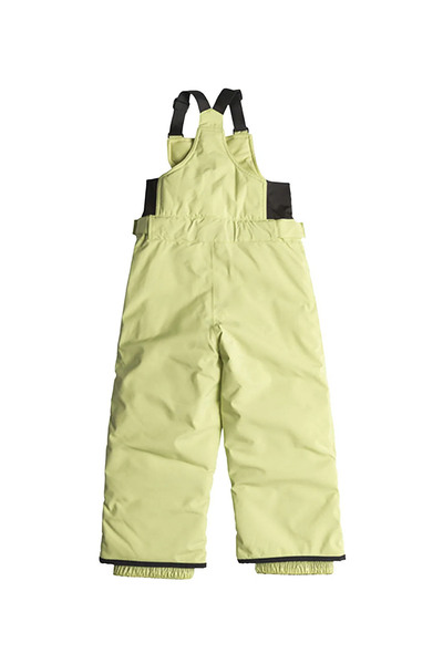 Quiksilver Boogie Pt Boys Snowboard Pants Boy's Snowboard Pants