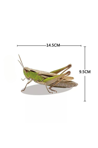 Choice C 3d Artificial Insects Motorcycle Stickers Front Cowl Fuel Tank Side ...
