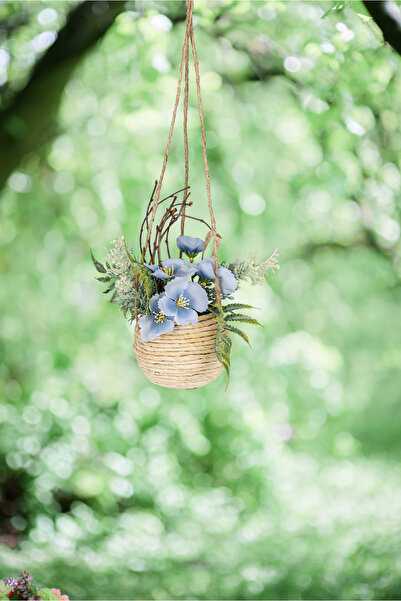 Garden with Ware Saksılı Dekoratif Çiçek