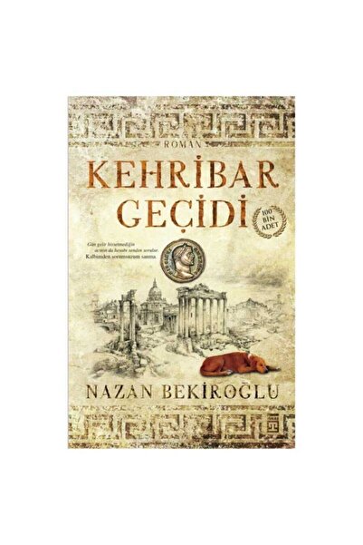 Timaş Yayınları Kehribar Geçidi