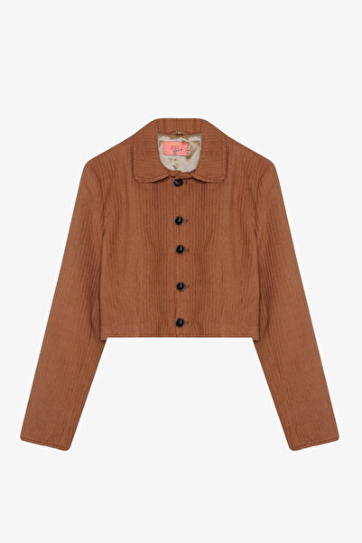 Quzu Vatkalı Gömlek Yaka Kadife Ceket Kahverengi