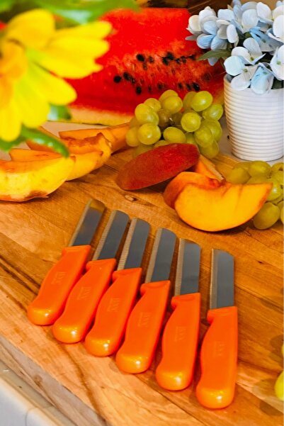 Rooc 6'lı Turuncu Simli Tırtıklı Meyve Bıçağı