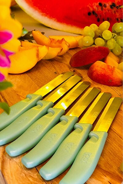 Rooc Set of 6 Ultra Sharp Serrated Blades, Water Green, 22 cm 100% Guaranteed Stainless Steel