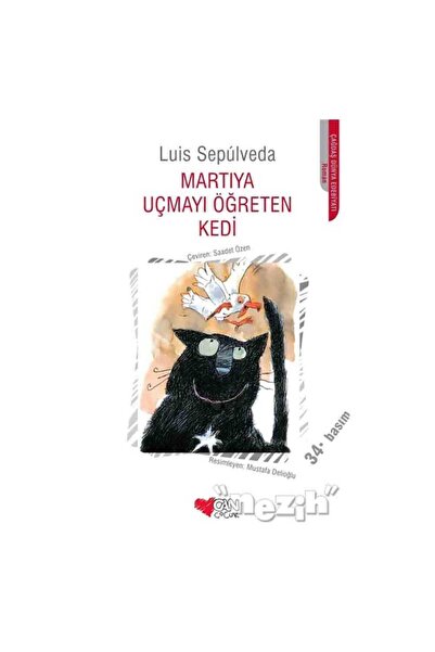 CAN Martıya Uçmayı Öğreten Kedi