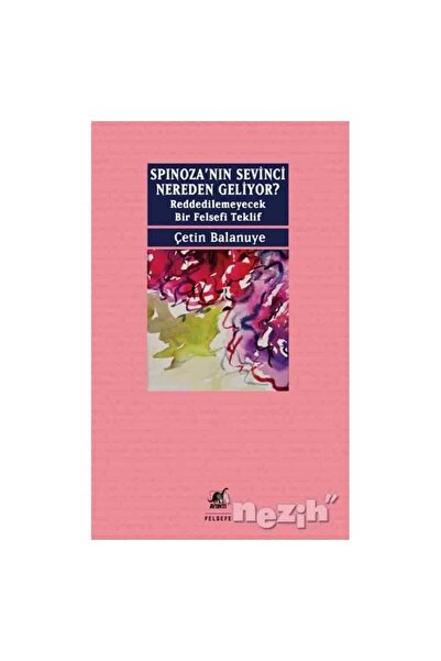 Ayrıntı Yayınları Spinoza’nın Sevinci Nereden Geliyor?