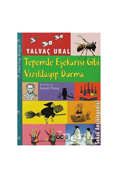 Yapı Kredi Yayınları Tepemde Eşekarısı Gibi Vızıldayıp Durma