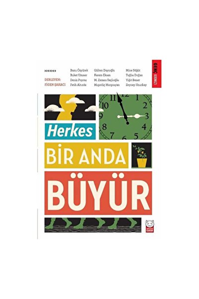 Genel Markalar Herkes Bir Anda Büyür, Kolektif, Kırmızı Kedi Yayınevi, Herkes...