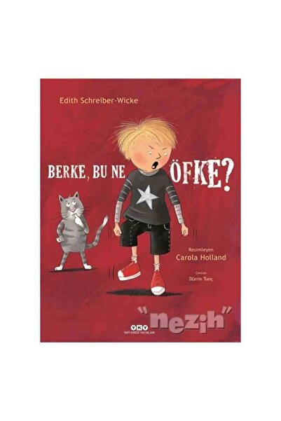 Yapı Kredi Yayınları Berke, Bu Ne Öfke?