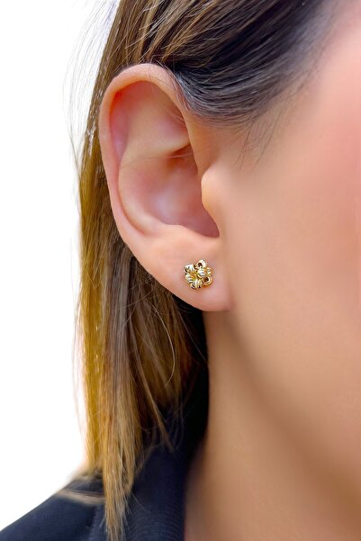 Altınaşkı Dorika Toplu Altın Küpe