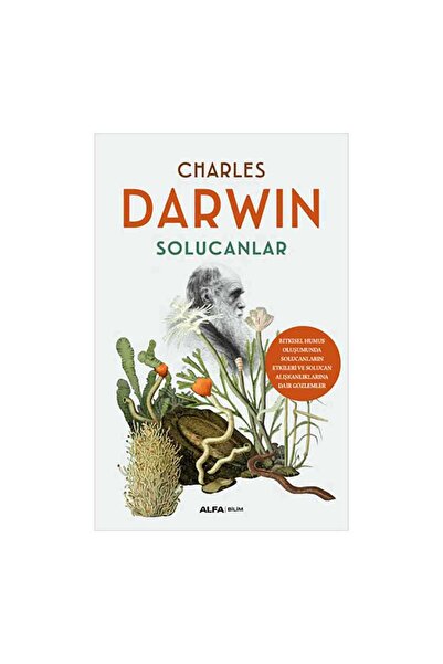 Alfa Yayınları Solucanlar