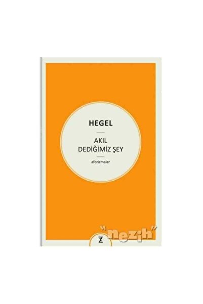 Zeplin Kitap Akıl Dediğimiz Şey