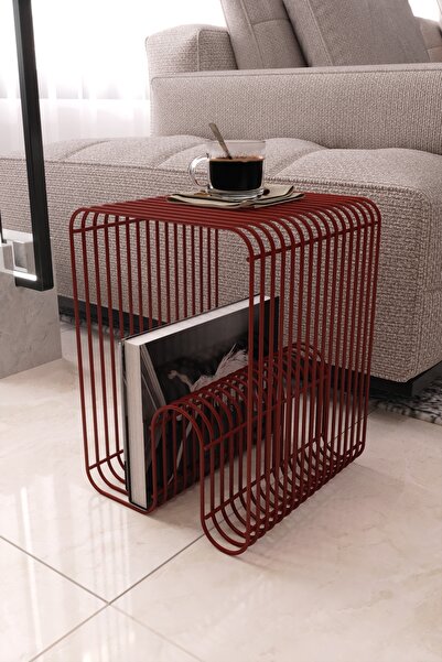 boz concept home Milano Tel Metal Tasarımlı Modern Paslanmaz Yan Sehpa, Dekoratif Metal Sehpa