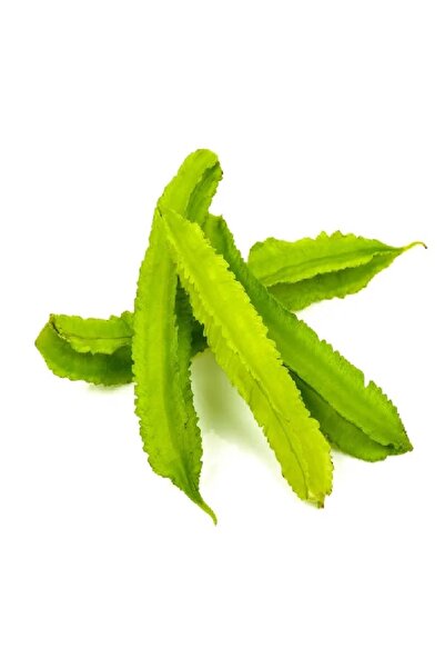 prestijiseed 10 Adet Kanatlı Fasulye Tohumu Yıldız Fasulye Tohumu Ejderha Fas...