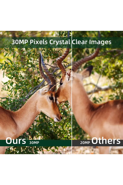 OEM Hunting Camera, 950A, with 2 Lenses, 36MP Photo, Full HD, Audio-Video, IR 25m