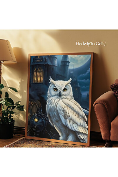 tuvart Sayılarla Boyama Seti Harry Potter 40x50cm Hedwig'in Gelişi