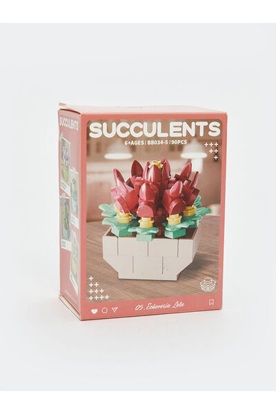 LC Waikiki Sparkling Choices from Shining Store |   Succulent Flower Model Making Set