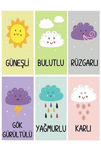 PRİME Concept HAVA OLAYLARI 50 X 70 (VİNİL BRANDA) DİJİTAL BASKI