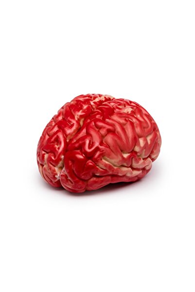 Gadget Master Creier artificial