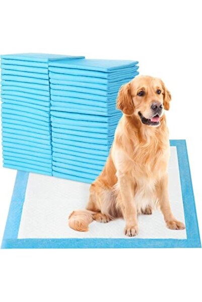 SKY TOUCH SKY-TOUCH Disposable Absorbent Quick Drying Leak-Proof Pee Pads For Potty Training For Pets, 60X90Cm