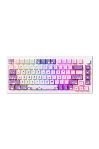 AKKO MOD 007 HE PC Purple Melody Hall Effect Manyetik Switch RGB Hotswap Meka...