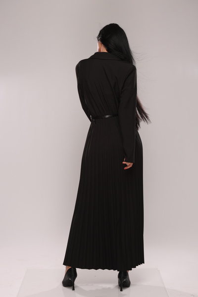 Pretty Women's dress with pleats and belt