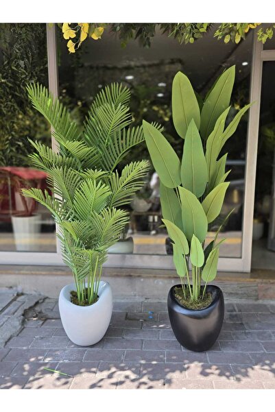 İremÇiçekçilik Hacimli Eğri Karbonfiber saksıda Starliçe