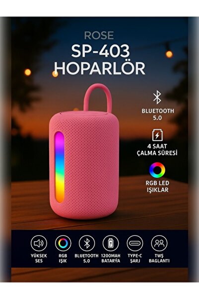 Rose SP-403 Kablosuz Bluetooth Hoparlör | LED Işık, USB & TF Kart Girişli, Ta...