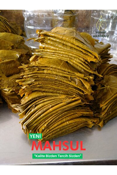 YENİ MAHSUL Tokat Erbaa Asma Üzüm Yaprağı 5 Kg