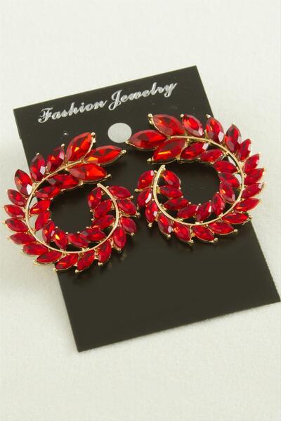 Ronanna Zr Model Earrings with Ear Stones