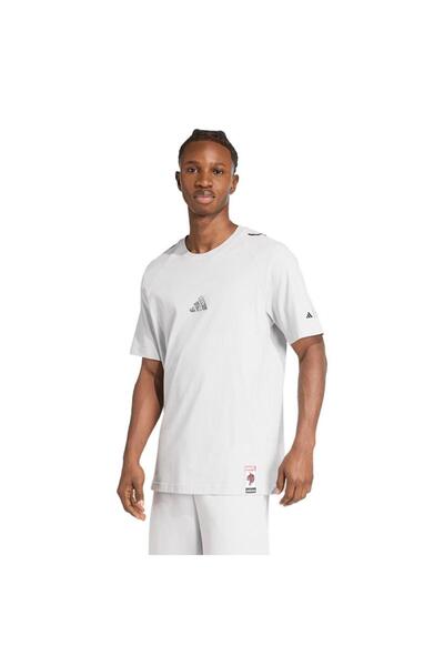 adidas Men's Gray T-Shirt m T-S Jl7963