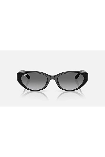 Ray-Ban Sunglasses Rb4457D 55 667711
