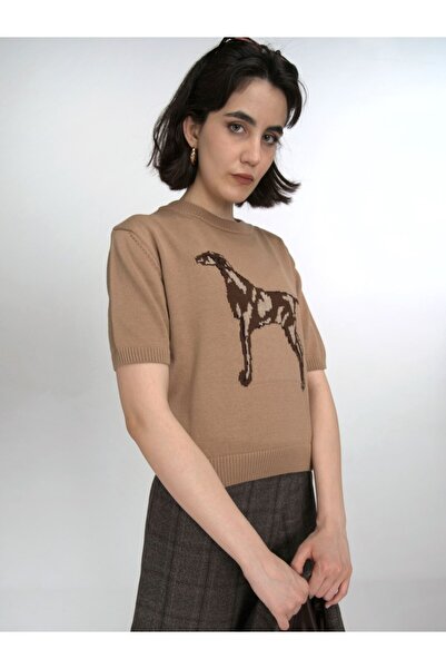 F&K Tricotaj cu mânecă scurtă 3x2 cu figurină de câine