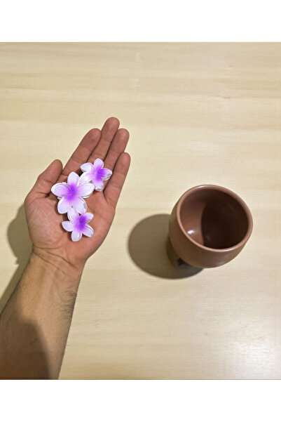 KANİNCHEN مشبك شعر على شكل زهرة اللوتس للنساء، مشبك شعر مثلث ملون (10 سم)