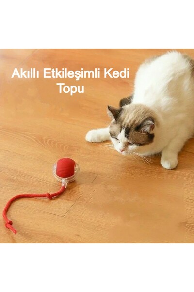 MDS Smart Self-Rotating Cat Toy 360 °   Movement with Bird Sounds: Fun and Exercise