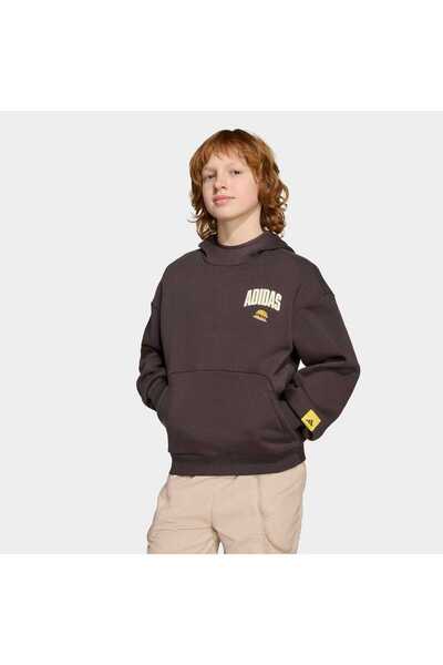 adidas Детска кафява суитшърт на Симпсън (JL9181)