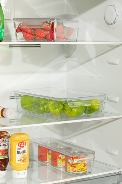 FİTHOME Shallow Size Frostybox Refrigerator Organizer with Lid and Strainer and In-Cabinet Organizer 3 Pieces