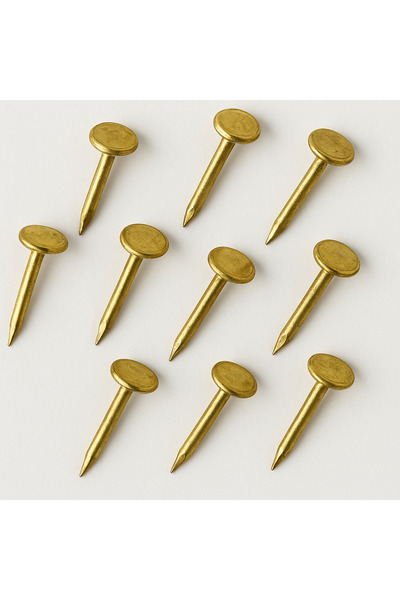 HOMEPACK Tablo Çivisi 10 Adet Çelik Sarı Çivi 3cm