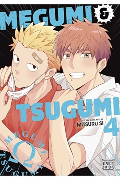 Viz LLC Megumi & Tsugumi, Vol. 4