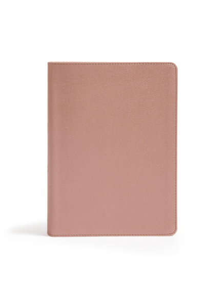 Holman Bibles CSB She Reads Truth Bible, Rose Gold Leathertouch
