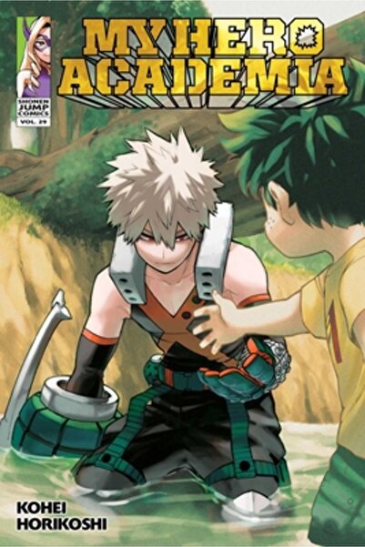 Viz LLC My Hero Academia, Vol. 29