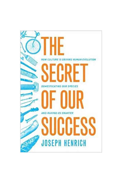 Princeton Univ Pr Secretul succesului nostru: Cum cultura stimulează evoluția...