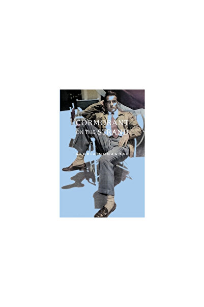 Chasing A Spider Pub Cormoranul de pe Strand