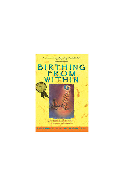 Partera Press Birthing from Within: An Extra-Ordinary Guide to Childbirth Pre...