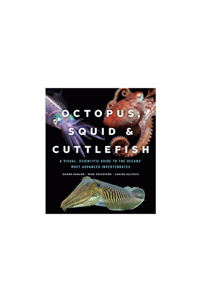 Univ Of Chicago Pr Caracatiță, calamar și sepie: Un ghid vizual și științific pentru cele mai avansate nevertebrate ale oceanelor